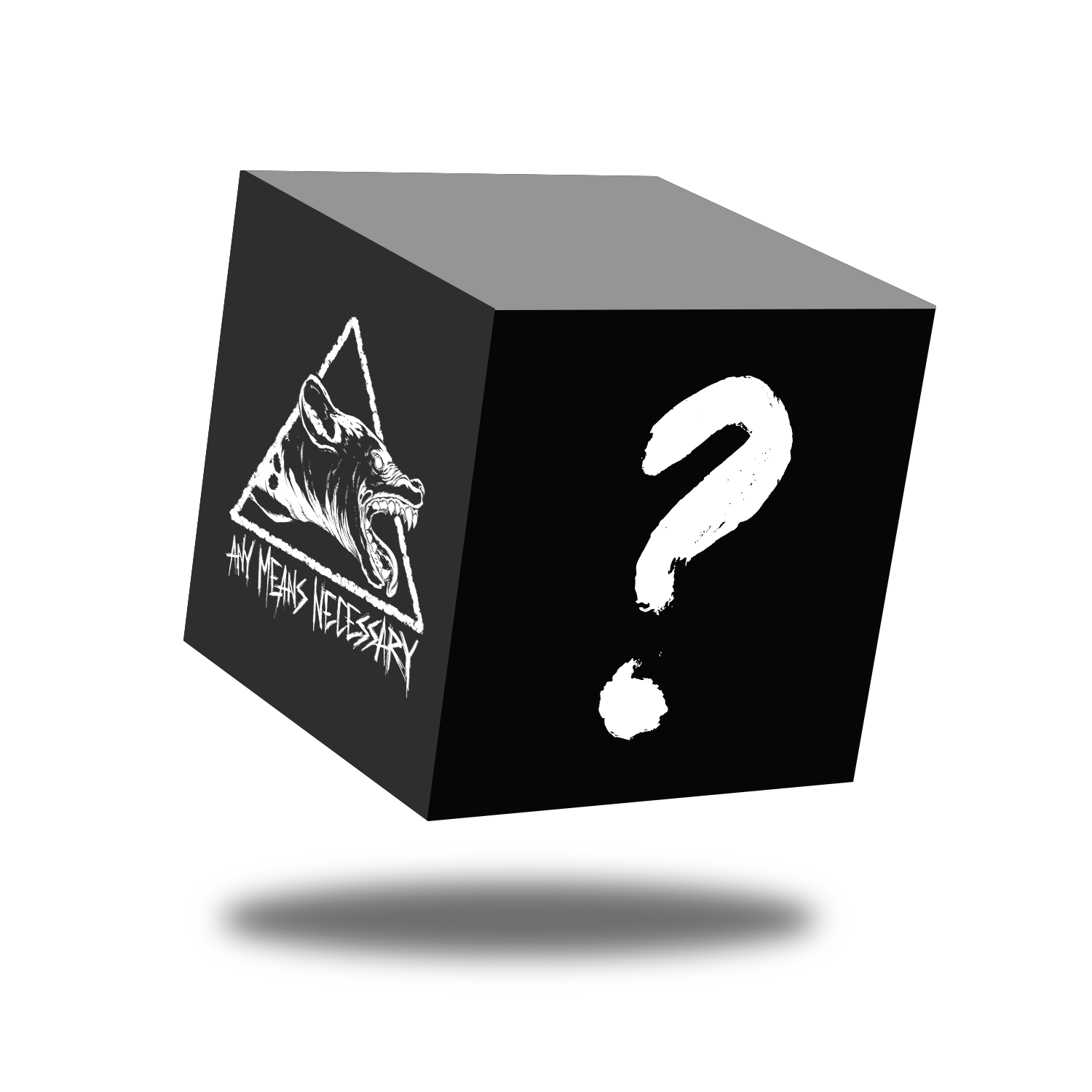 Mystery Item